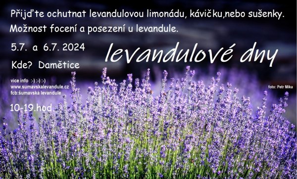 Levandulové dny 2024